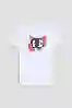 Resim DOLCE & GABBANA KADIN T-SHIRT F8M68T-GDCCM