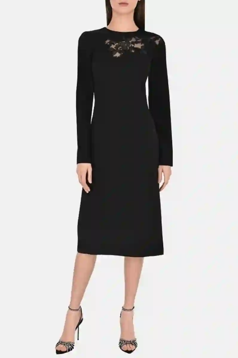 Resim ERMANNO SCERVINO ELBİSE